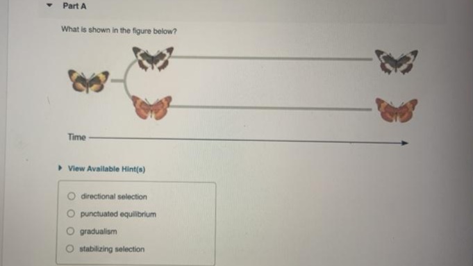 Part A
What is shown in the figure below?
Time
> View Available Hint(s)
O directional selection
O punctuated equilibrium
gradualism
stabilizing selection
