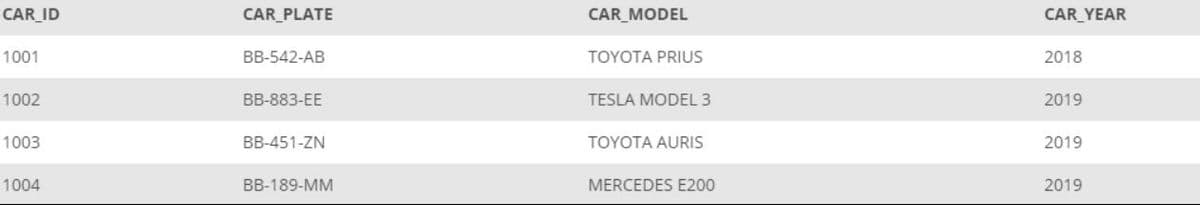 CAR_ID
CAR_PLATE
CAR_MODEL
CAR_YEAR
1001
ВB-542-АB
TOYOTA PRIUS
2018
1002
ВB-883-EE
TESLA MODEL 3
2019
1003
BB-451-ZN
TOYOTA AURIS
2019
1004
BB-189-MM
MERCEDES E200
2019
