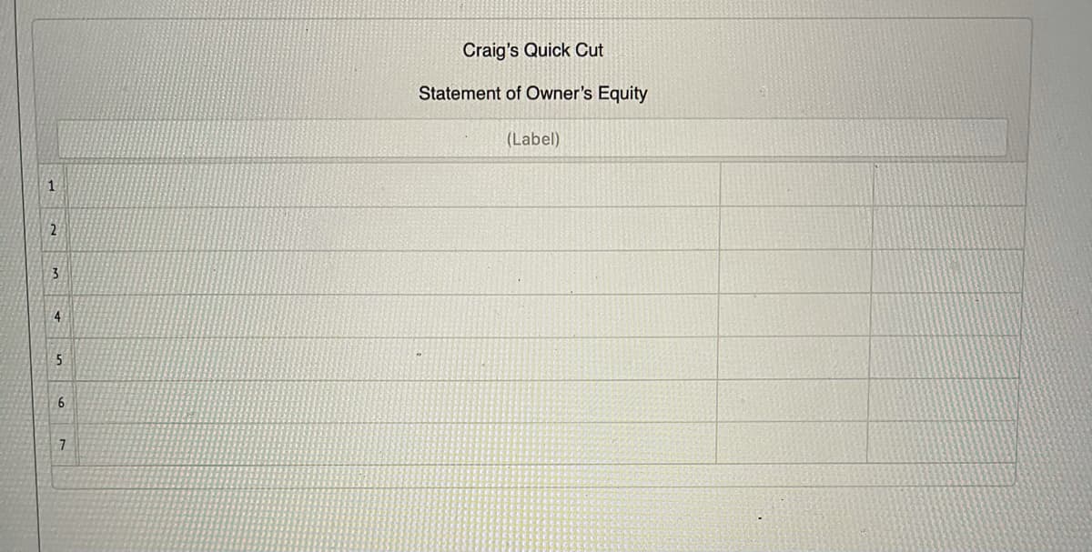 Craig's Quick Cut
Statement of Owner's Equity
(Label)
4
