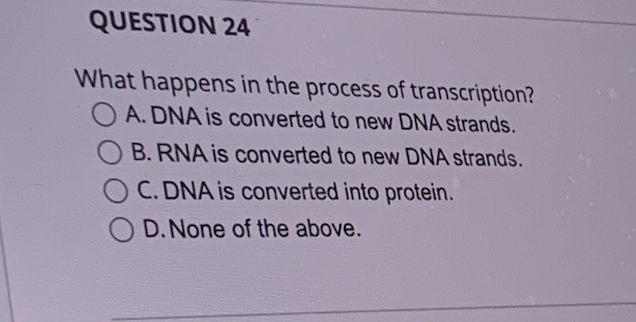 QUESTION 24
What happens in the process of transcription?
A. DNA is converted to new DNA strands.
B. RNA is converted to new DNA strands.
C. DNA is converted into protein.
D.None of the above.