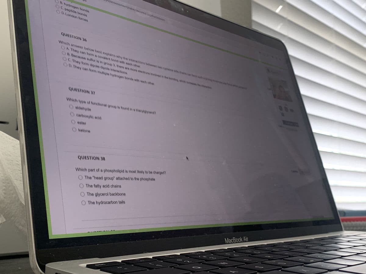 aps
OB. hydrogen bonds
OC.peptide bonds
OD.London forces
QUESTION 36
Us/assessment/take/secured.jsp#lockdown
OA. They can form a covalent bond with each other.
Which answer below best explains why the interactions between two cysteine side chains can form such a strong de fles
OB. Because sulfur is in group 3, there are more electrons involved in the bonding, which moreases the vacacion
OC. They form dipole-dipole interactions
OD. They can form multiple hydrogen bonds with each other
ketone
QUESTION 37
Which type of functional group is found in a triacylglycerol?
aldehyde
carboxylic acid
ester
QUESTION 38
Which part of a phospholipid is most likely to be charged?
O The "head group" attached to the phosphate
O The fatty acid chains
O The glycerol backbone
O The hydrocarbon tails
MacBook Air
199