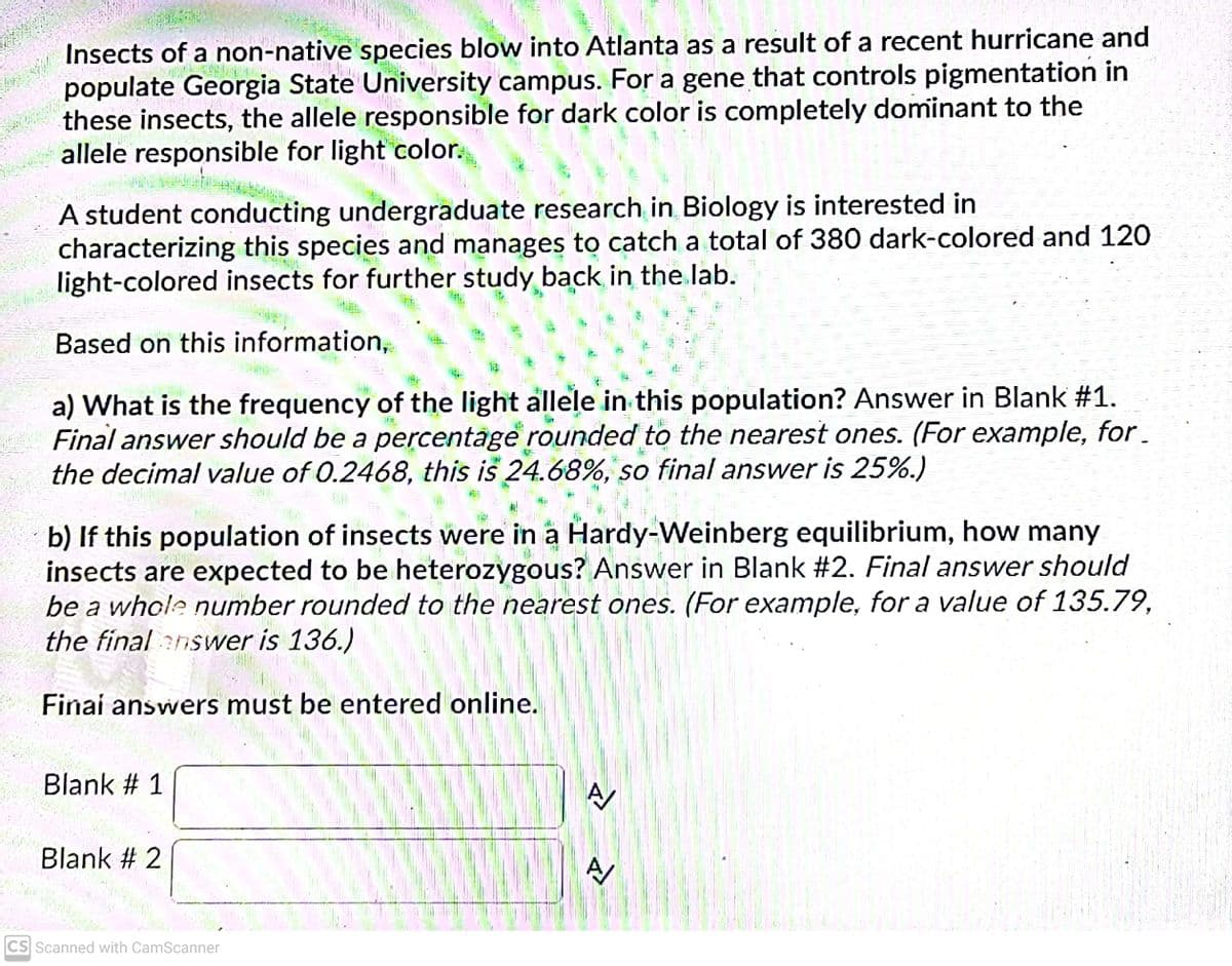 Insects of a non-native species blow into Atlanta as a result of a recent hurricane and
populate Georgia State University campus. For a gene that controls pigmentation in
these insects, the allele responsible for dark color is completely dominant to the
allele responsible for light color.
A student conducting undergraduate research in Biology is interested in
characterizing this species and manages to catch a total of 380 dark-colored and 120
light-colored insects for further study back in the lab.
Based on this information,
a) What is the frequency of the light allele in this population? Answer in Blank #1.
Final answer should be a percentäge rounded to the nearest ones. (For example, for.
the decimal value of 0.2468, this is 24.68%,
la
so final answer is 25%.)
b) If this population of insects were in a Hardy-Weinberg equilibrium, how many
insects are expected to be heterozygous? Answer in Blank #2. Final answer should
be a whole number rounded to the nearest ones. (For example, fora value of 135.79,
the final nswer is 136.)
Finai answers must be entered online.
Blank # 1
Blank # 2
CS Scanned with CamScanner
