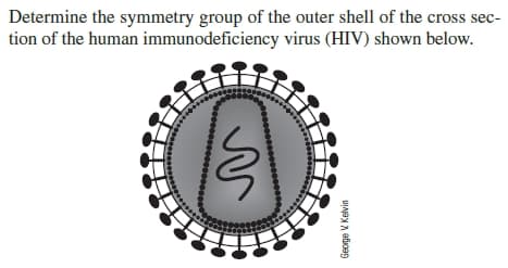 Determine the symmetry group of the outer shell of the cross sec-
tion of the human immunodeficiency virus (HIV) shown below.
George V Kelvin
