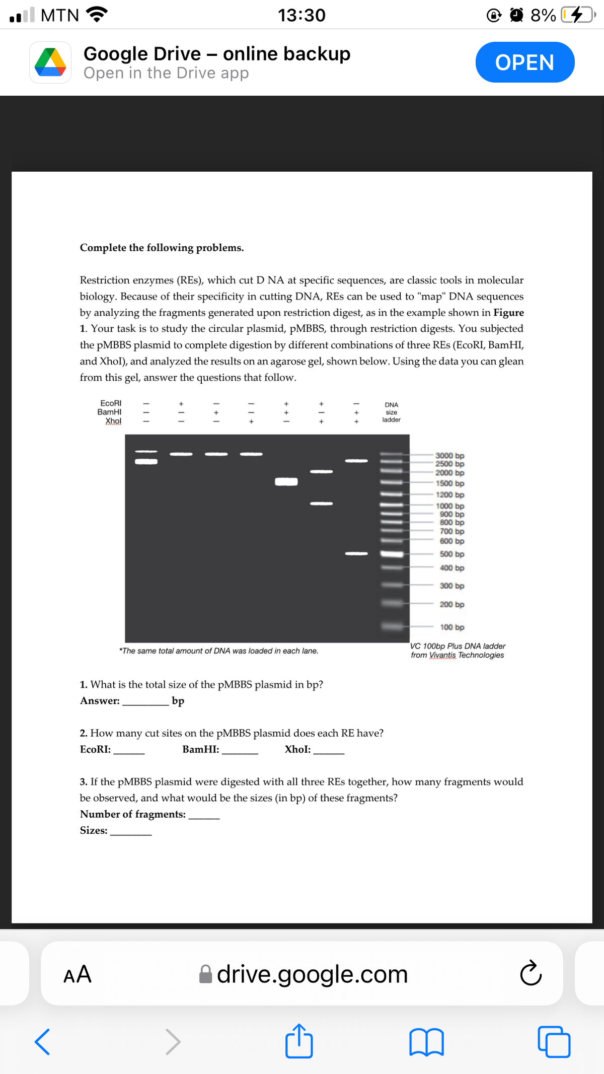 MTN
13:30
8%
Google Drive - online backup
Open in the Drive app
ОPEN
Complete the following problems.
Restriction enzymes (REs), which cut D NA at specific sequences, are classic tools in molecular
biology. Because of their specificity in cutting DNA, REs can be used to "map" DNA sequences
by analyzing the fragments generated upon restriction digest, as in the example shown in Figure
1. Your task is to study the circular plasmid, pMBBS, through restriction digests. You subjected
the pMBBS plasmid to complete digestion by different combinations of three REs (ECORI, BamHI,
and Xhol), and analyzed the results on an agarose gel, shown below. Using the data you can glean
from this gel, answer the questions that follow.
EcoRI
BamHI
Xhol
DNA
size
ladder
3000 bp
2500 bp
2000 bp
1500 bp
1200 bp
1000 bp
900 bp
800 bp
700 bp
600 bp
500 bp
400 bp
300 bp
200 bp
100 bp
VC 100bp Plus DNA ladder
from Vivantis Technologies
*The same total amount of DNA was loaded in each lane.
1. What is the total size of the PMBBS plasmid in bp?
Answer:
bp
2. How many cut sites on the PMBBS plasmid does each RE have?
EcoRI:
BamHI:
XhoI:
3. If the pMBBS plasmid were digested with all three REs together, how many fragments would
be observed, and what would be the sizes (in bp) of these fragments?
Number of fragments:
Sizes:
AA
A drive.google.com
+||

