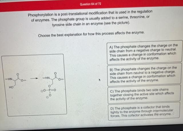 Question 64 of 72
Phosphorylation is a post-translational modification that is used in the regulation
of enzymes. The phosphate group is usually added to a serine, threonine, or
tyrosine side chain in an enzyme (see the picture).
Choose the best explanation for how this process affects the enzyme.
A) The phosphate changes the charge on the
side chain from a negative charge to neutral.
This causes a change in conformation which
affects the activity of the enzyme.
B) The phosphate changes the charge on the
side chain from neutral to a negative charge.
This causes a change in conformation which
affects the activity of the enzyme.
wHN
wHN
HO
C) The phosphate binds two side chains
together closing the active site which affects
the activity of the enzyme.
D) The phosphate is a cofactor that binds
tightly to the enzyme through intermolecular
forces. This cofactor activates the enzyme.
