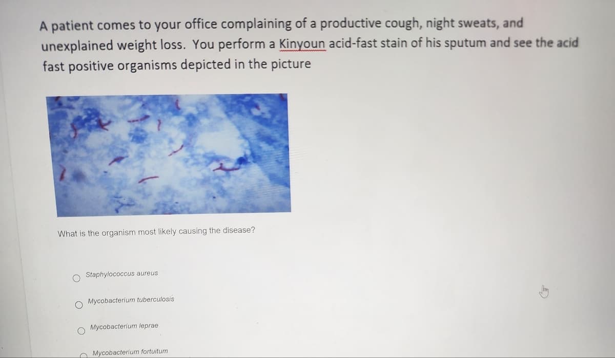 A patient comes to your office complaining of a productive cough, night sweats, and
unexplained weight loss. You perform a Kinyoun acid-fast stain of his sputum and see the acid
fast positive organisms depicted in the picture
What is the organism most likely causing the disease?
C
Staphylococcus aureus
Mycobacterium tuberculosis
O Mycobacterium leprae
Mycobacterium fortuitum