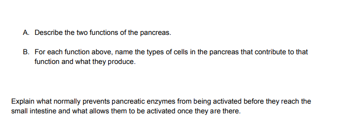 Describe the two functions of the pancreas.
