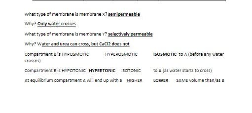 What type of membrane is membrane X? semipermeable
Why? Only water crosses
What type of membrane is membrane Y? selectively permeable
Why? Water and urea can cross, but Caciz does not
Compartment B is HYPOSMOTIC
crosses)
HYPEROSMOTIC
Compartment B is HYPOTONIC HYPERTONIC ISOTONIC
At equilibrium compartment A will end up with a HIGHER
ISOSMOTIC to A (before any water
to A (as water starts to cross)
LOWER
SAME volume than/as B