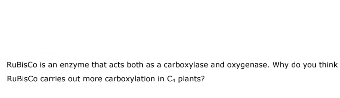 RuBisCo is an enzyme that acts both as a carboxylase and oxygenase. Why do you think
RuBisCo carries out more carboxylation in C4 plants?
