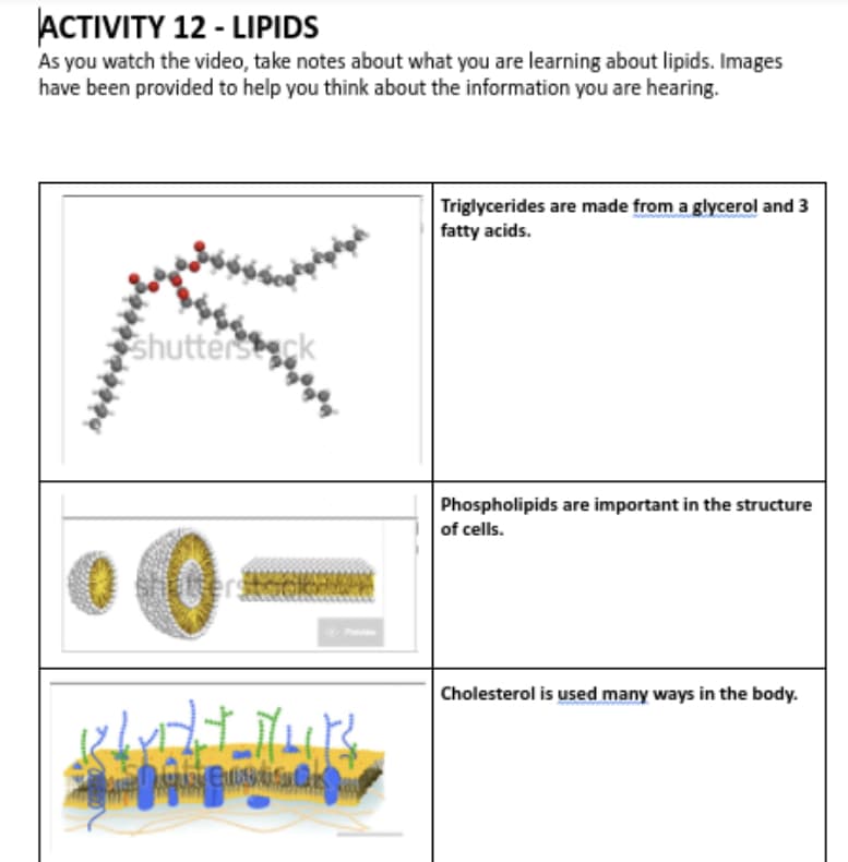 ACTIVITY 12 - LIPIDS
As you watch the video, take notes about what you are learning about lipids. Images
have been provided to help you think about the information you are hearing.
Triglycerides are made from a glycerol and 3
fatty acids.
shutterst
beck
Phospholipids are important in the structure
of cells.
Cholesterol is used many ways in the body.
