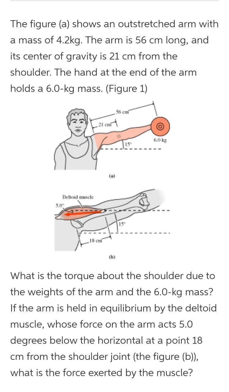 The figure (a) shows an outstretched arm with
a mass of 4.2kg. The arm is 56 cm long, and
its center of gravity is 21 cm from the
shoulder. The hand at the end of the arm
holds a 6.0-kg mass. (Figure 1)
56 cm
21 en
6.0 kg
(a)
Deltoid muscle
5.0
15
18 cm
(b)
What is the torque about the shoulder due to
the weights of the arm and the 6.0-kg mass?
If the arm is held in equilibrium by the deltoid
muscle, whose force on the arm acts 5.0
degrees below the horizontal at a point 18
cm from the shoulder joint (the figure (b)),
what is the force exerted by the muscle?
