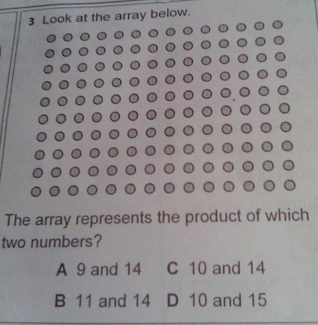 3 Look at the array below.
The array represents the product of which
two numbers?
A 9 and 14
C 10 and 14
B 11 and 14 D 10 and 15
