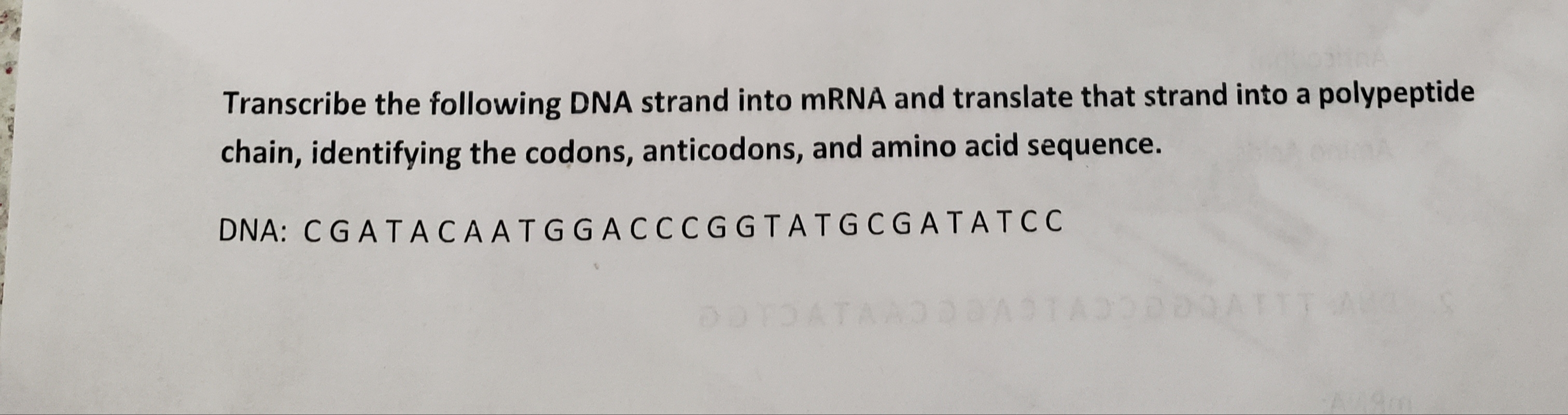 Transcribe the following DNA strand into mRNA and translate that strand into a polypeptide
chain, identifying the codons, anticodons, and amino acid sequence.
DNA: CGATACAATGGACCCGGTATGCGATATCC
ATA
