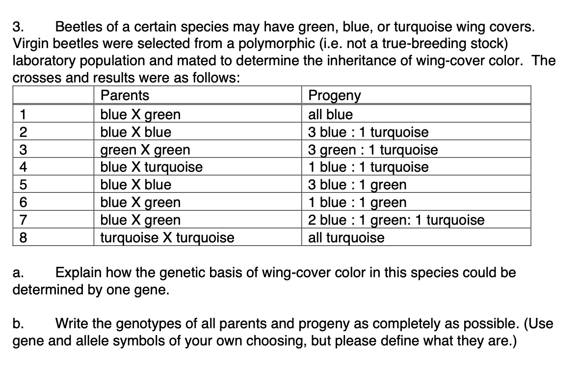 3. Beetles of a certain species may have green, blue, or turquoise wing covers.
Virgin beetles were selected from a polymorphic (i.e. not a true-breeding stock)
laboratory population and mated to determine the inheritance of wing-cover color. The
crosses and results were as follows:
Parents
blue X green
blue X blue
1
2
3
4
5
6
7
8
green X green
blue X turquoise
blue X blue
a.
blue X green
blue X green
turquoise X turquoise
Progeny
all blue
3 blue: 1 turquoise
3 green 1 turquoise
1 blue: 1 turquoise
3 blue: 1 green
1 blue: 1 green
2 blue 1 green: 1 turquoise
all turquoise
Explain how the genetic basis of wing-cover color in this species could be
determined by one gene.
b. Write the genotypes of all parents and progeny as completely as possible. (Use
gene and allele symbols of your own choosing, but please define what they are.)