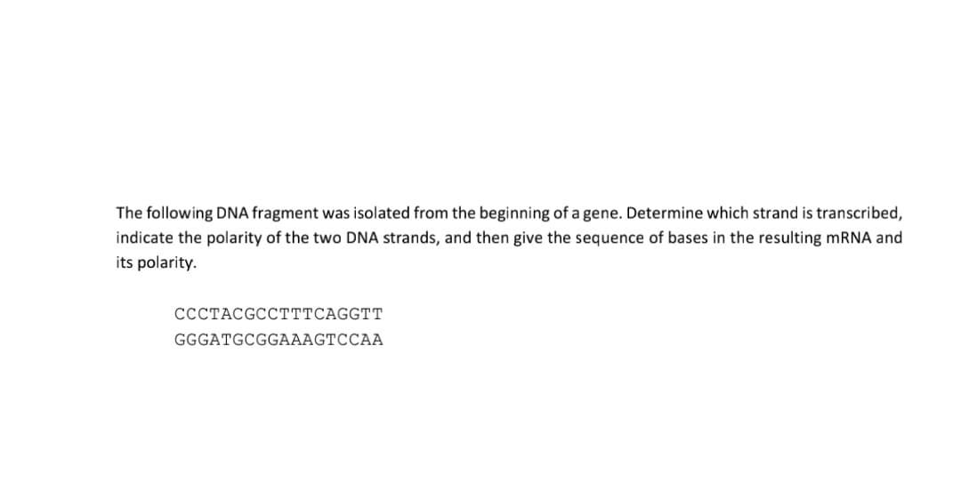 The following DNA fragment was isolated from the beginning of a gene. Determine which strand is transcribed,
indicate the polarity of the two DNA strands, and then give the sequence of bases in the resulting mRNA and
its polarity.
CCCTACGCCTTTCAGGTT
GGGATGCGGAAAGTCCAA