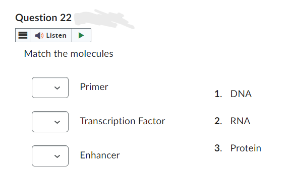 Question 22
Listen
Match the molecules
Primer
1. DNA
Transcription Factor
2. RNA
Enhancer
3. Protein
