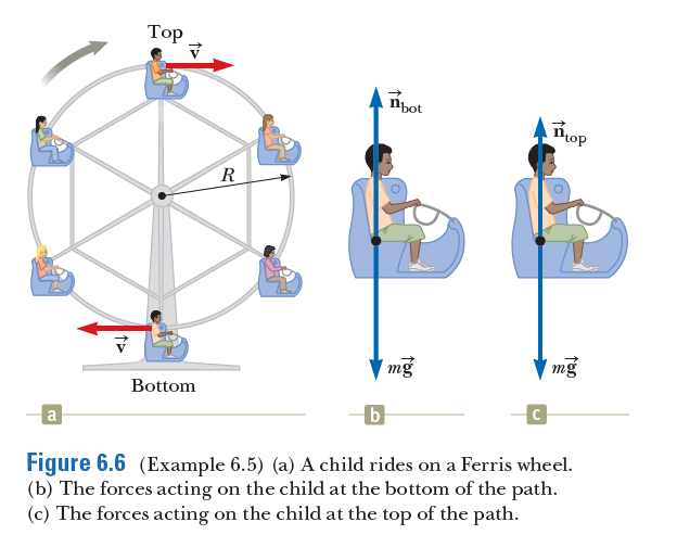 Тop
nbot
R
mg
mg
Bottom
a.
Figure 6.6 (Example 6.5) (a) A child rides on a Ferris wheel.
(b) The forces acting on the child at the bottom of the path.
(c) The forces acting on the child at the top of the path.
