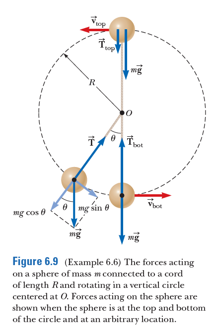 top
top
mg
R
- bot
Vbot
8 mg sin 0
mg cos e
mg
mg
Figure 6.9 (Example 6.6) The forces acting
on a sphere of mass m connected to a cord
of length Rand rotating in a vertical circle
centered at 0. Forces acting on the sphere are
shown when the sphere is at the top and bottom
of the circle and at an arbitrary location.
