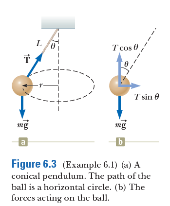 L
T cos 0
T sin 0
mg
mg
a
b
Figure 6.3 (Example 6.1) (a) A
conical pendulum. The path of the
ball is a horizontal circle. (b) The
forces acting on the ball.
