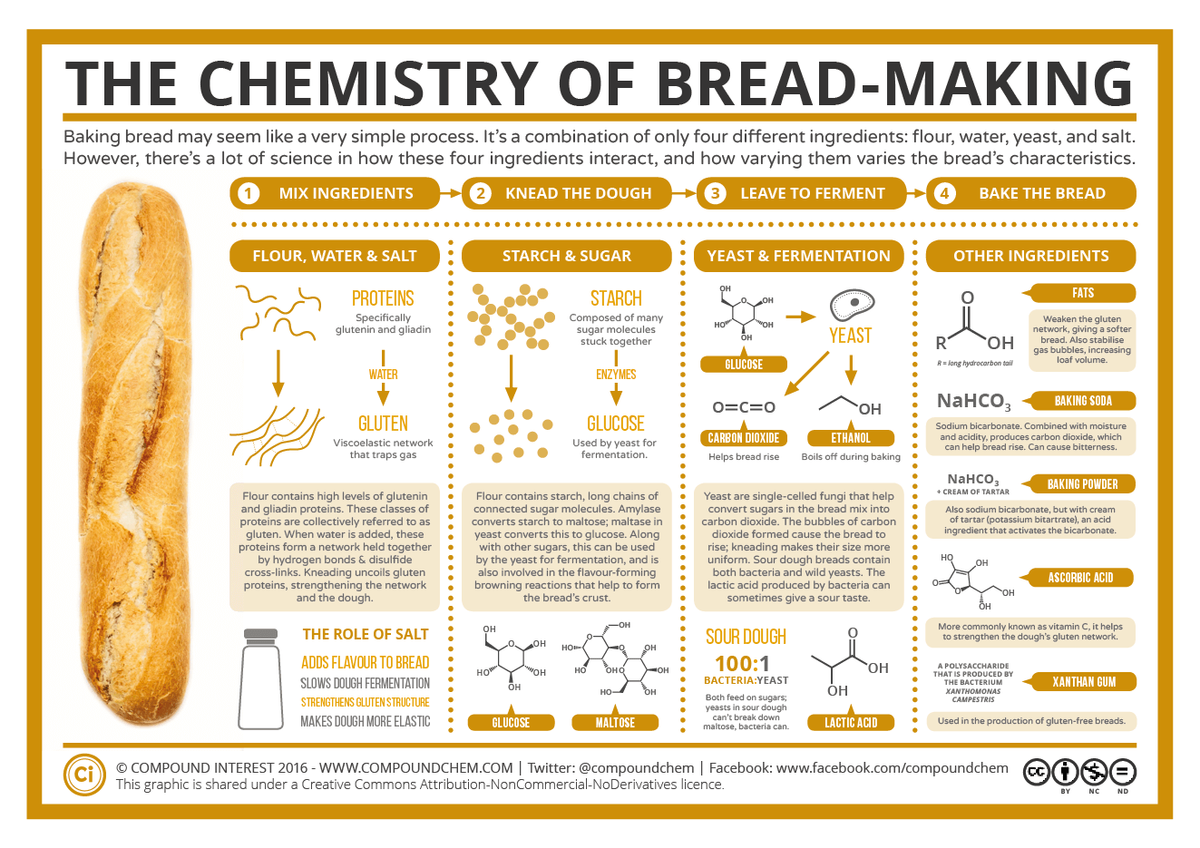 THE CHEMISTRY OF BREAD-MAKING
Baking bread may seem like a very simple process. It's a combination of only four different ingredients: flour, water, yeast, and salt.
However, there's a lot of science in how these four ingredients interact, and how varying them varies the bread's characteristics.
MIX INGREDIENTS
2 KNEAD THE DOUGH
LEAVE TO FERMENT
BAKE THE BREAD
FLOUR, WATER & SALT
STARCH & SUGAR
YEAST & FERMENTATION
OTHER INGREDIENTS
FATS
PROTEINS
STARCH
Specifically
glutenin and gliadin
Composed of many
sugar molecules
stuck together
Weaken the gluten
network, giving a softer
bread. Also stabilise
HO
YEAST
OH
R
gas bubbles, increasing
loaf volume.
GLUCOSE
R= long hydrocarbon tail
WATER
ENZYMES
O=C=0
NaHCO,
BAKING SODA
HO.
GLUTEN
GLUCOSE
Sodium bicarbonate. Combined with moisture
Viscoelastic network
that traps gas
Used by yeast for
fermentation.
CARBON DIOXIDE
ETHANOL
and acidity, produces carbon dioxide, which
can help bread rise. Can cause bitterness.
Helps bread rise
Boils off during baking
NaHCO,
+ CREAM OF TARTAR
BAKING POWDER
Flour contains high levels of glutenin
and gliadin proteins. These classes of
proteins are collectively referred to as
gluten. When water is added, these
proteins form a network held together
by hydrogen bonds & disulfide
cross-links. Kneading uncoils gluten
proteins, strengthening the network
and the dough.
Flour contains starch, long chains of
connected sugar molecules. Amylase
converts starch to maltose; maltase in
yeast converts this to glucose. Along
with other sugars, this can be used
by the yeast for fermentation, and is
also involved in the flavour-forming
browning reactions that help to form
the bread's crust.
Yeast are single-celled fungi that help
convert sugars in the bread mix into
carbon dioxide. The bubbles of carbon
Also sodium bicarbonate, but with cream
of tartar (potassium bitartrate), an acid
ingredient that activates the bicarbonate.
dioxide formed cause the bread to
rise; kneading makes their size more
uniform. Sour dough breads contain
both bacteria and wild yeasts. The
lactic acid produced by bacteria can
sometimes give a sour taste.
HỌ
OH
ASCORBIC ACID
OH
он
OH
он
OOH
More commonly known as vitamin C, it helps
to strengthen the dough's gluten network.
THE ROLE OF SALT
SOUR DOUGH
OH
ADDS FLAVOUR TO BREAD
100:1
A POLYSACCHARIDE
THAT IS PRODUCED BY
THE BACTERIUM
HO
он
но
OHO
OH
SLOWS DOUGH FERMENTATION
ÕH
BACTERIA:YEAST
XANTHAN GUM
OH
ÓH
XANTHOMONAS
CAMPESTRIS
но-
Both feed on sugars;
yeasts in sour dough
can't break down
maltose, bacteria can.
STRENGTHENS GLUTEN STRUCTURE
MAKES DOUGH MORE ELASTIC
GLUCOSE
MALTOSE
LACTIC ACID
Used in the production of gluten-free breads
© COMPOUND INTEREST 2016 - Www.COMPOUNDCHEM.COM | Twitter: @compoundchem | Facebook: www.facebook.com/compoundchem c
This graphic is shared under a Creative Commons Attribution-NonCommercial-NoDerivatives licence.
BY
NC
ND
