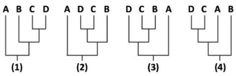 D ADC B D CBA DC A B
(1)
(2)
(3)
(4)
