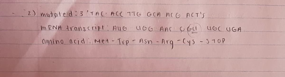 2) mutated 3'TAC AC( 1TG GCA ACG ACT'S
m RNA transcript: AUG
UGG AnC Ç GI UGC UGA
Cimino acid Met - Tip-Asn - Arg -Cys - S TOP
