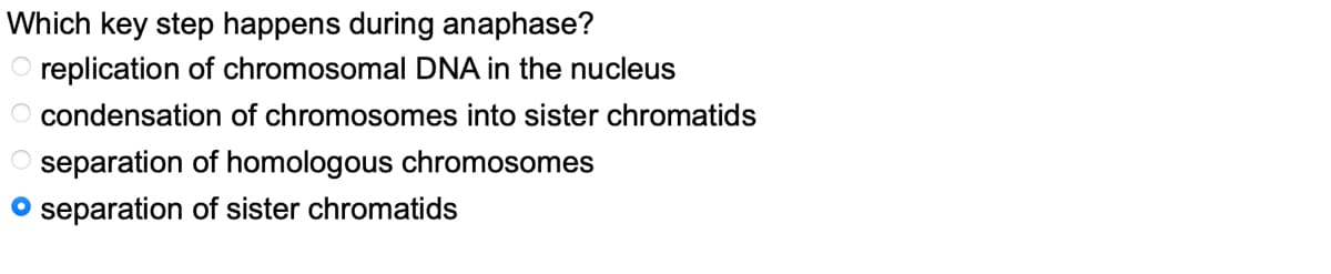 Which key step happens during anaphase?
O replication of chromosomal DNA in the nucleus
O condensation
of chromosomes into sister chromatids
O separation of homologous chromosomes
O separation of sister chromatids