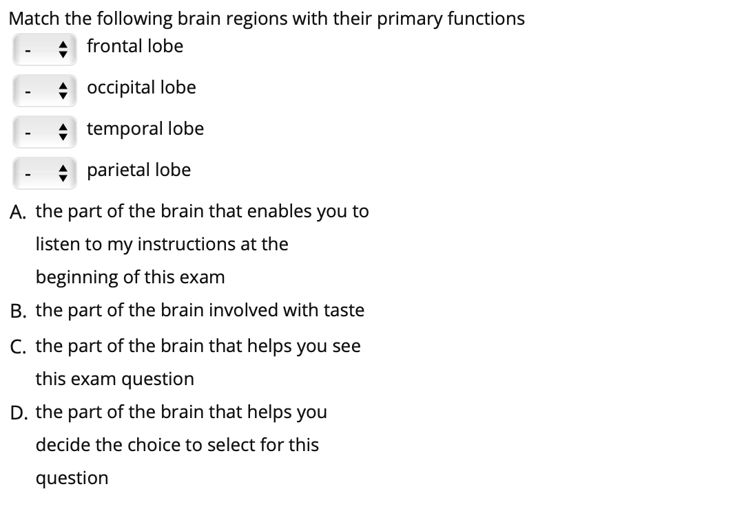 Match the following brain regions with their primary functions
frontal lobe
* occipital lobe
+ temporal lobe
+ parietal lobe
A. the part of the brain that enables you to
listen to my instructions at the
beginning of this exam
B. the part of the brain involved with taste
C. the part of the brain that helps you see
this exam question
D. the part of the brain that helps you
decide the choice to select for this
question
