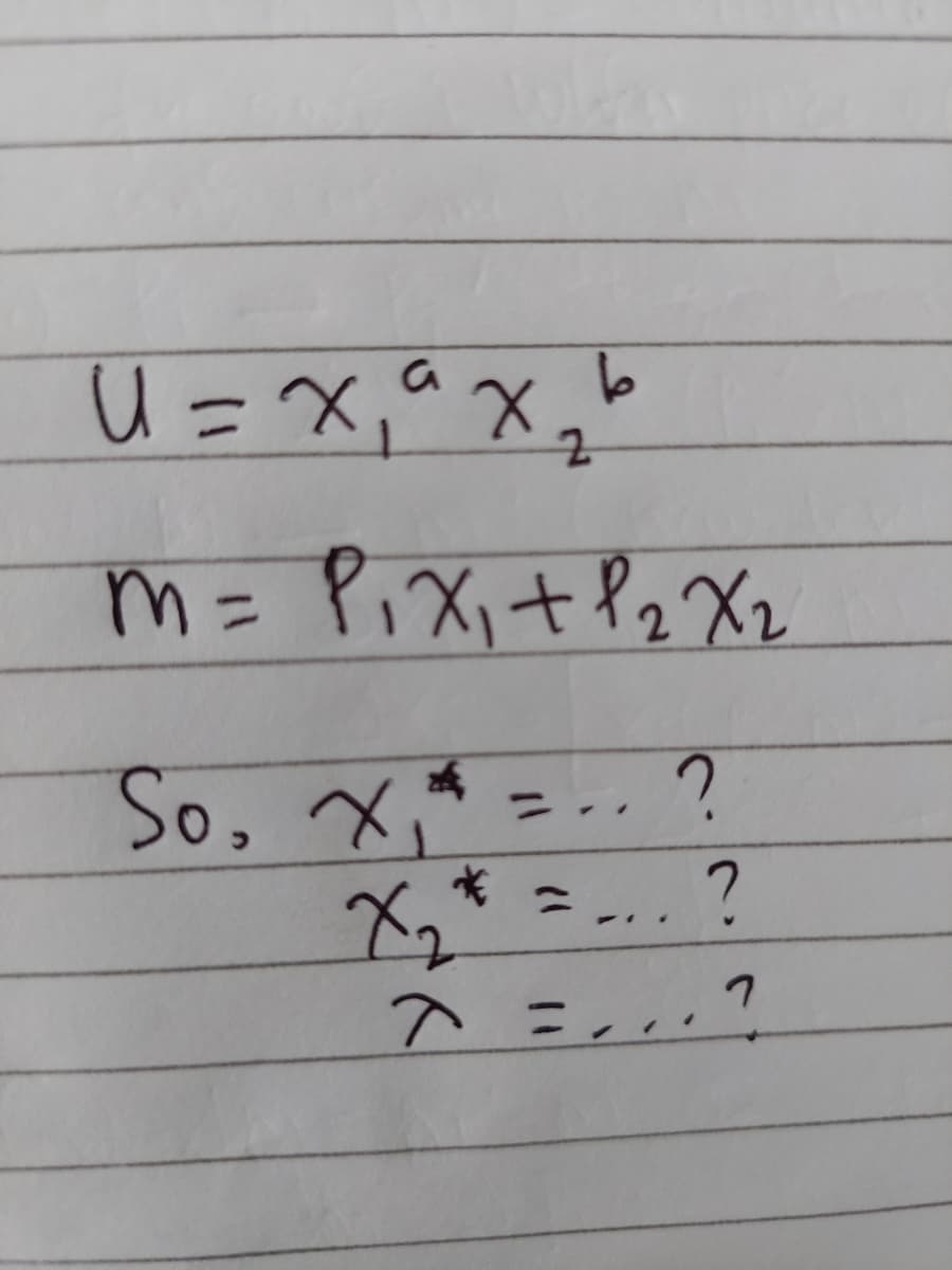 U =x,^X
a
m= PiX, +P2 Xz
So, Xニ?
-..?
