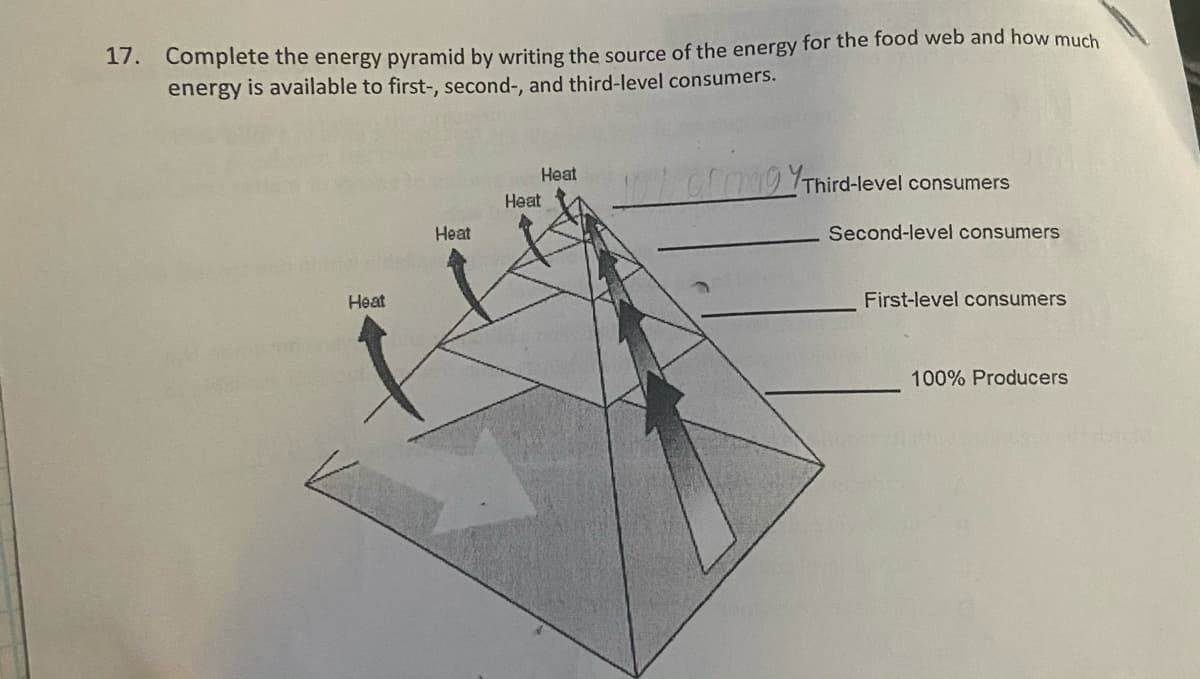 17. Complete the energy pyramid by writing the source of the energy for the food web and how much
energy is available to first-, second-, and third-level consumers.
Heat
GEO09Third-level consumers
Heat
Heat
Second-level consumers
Heat
First-level consumers
100% Producers
