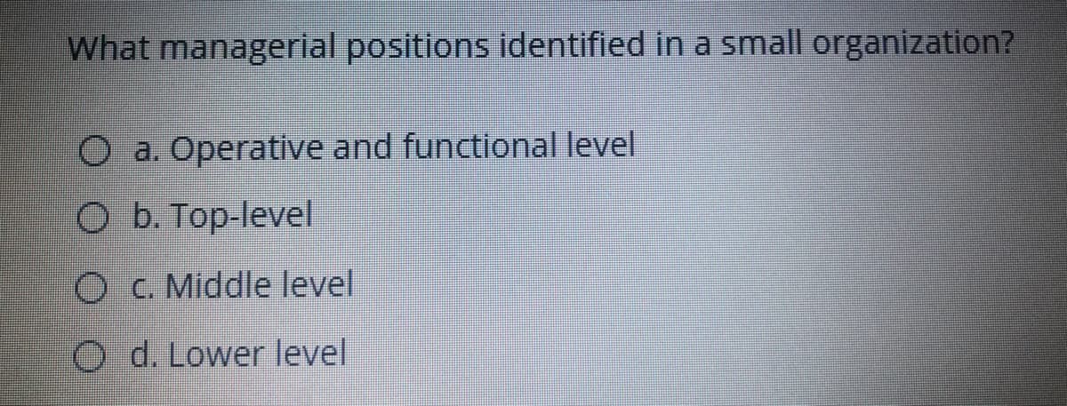 What managerial positions identified in a small organization?
O a. Operative and functional level
O b. Top-level
O C. Middle level
O d. Lower level
