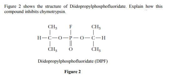 Figure 2 shows the structure of Diidopropylphosphofluoridate. Explain how this
compound inhibits chymotrypsin.
CH3
F
CH3
H-C-0-P-0-C-H
CH3
CH3
Diidopropylphosphofluoridate (DIPF)
Figure 2
