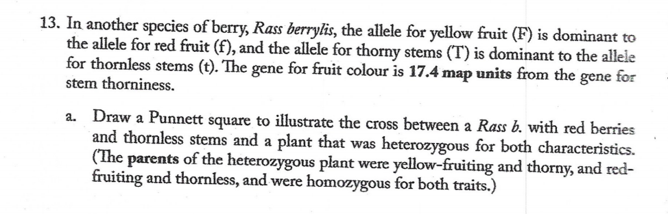 13. In another species of berry, Rass berrylis, the allele for yellow fruit (F) is dominant to
the allele for red fruit (f), and the allele for thorny stems (T) is dominant to the allele
for thornless stems (t). The gene for fruit colour is 17.4 map units from the
stem thorniness.
gene for
a.
Draw a Punnett
square to illustrate the cross between a Rass b. with red berries
and thornless stems and a plant that was heterozygous for both characteristics.
(The parents of the heterozygous plant were yellow-fruiting and thorny, and red-
fruiting and thornless, and were homozygous for both traits.)
