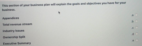 This section of your business plan will explain the goals and objectives you have for your
business.
Appendices
Total revenue stream
Industry Issues
Ownership Split
Executive Summary
.e
