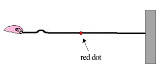 red dot
