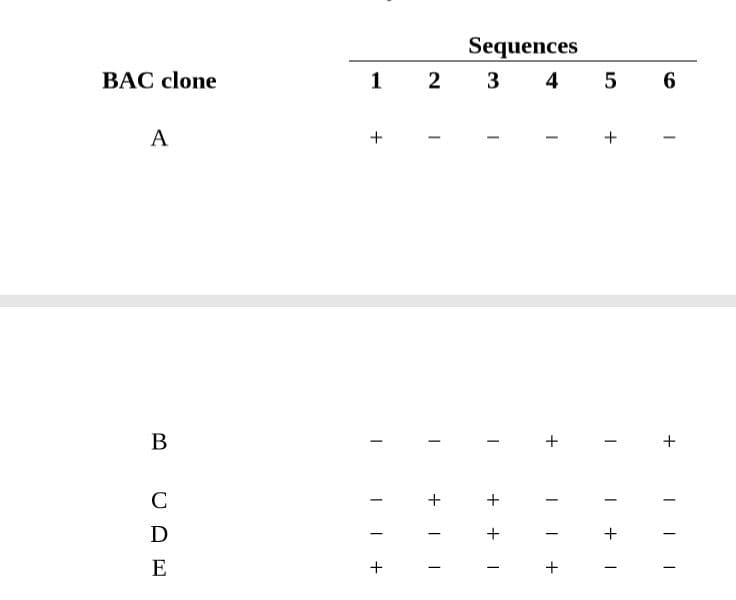 Sequences
BAC clone
3 4
6
A
B
D
