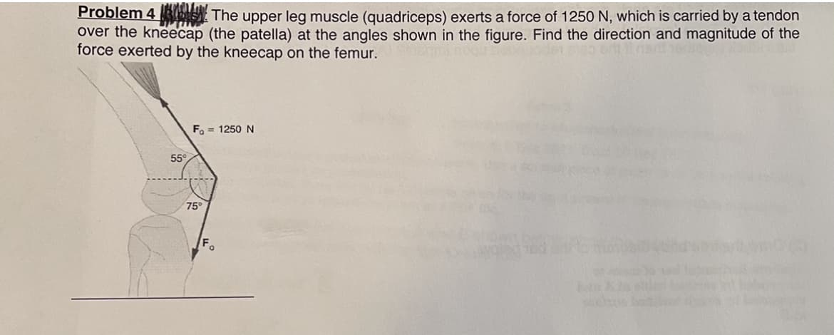 Problem 4 S The upper leg muscle (quadriceps) exerts a force of 1250 N, which is carried by a tendon
over the kneecap (the patella) at the angles shown in the figure. Find the direction and magnitude of the
force exerted by the kneecap on the femur.
F. = 1250 N
55
75°
