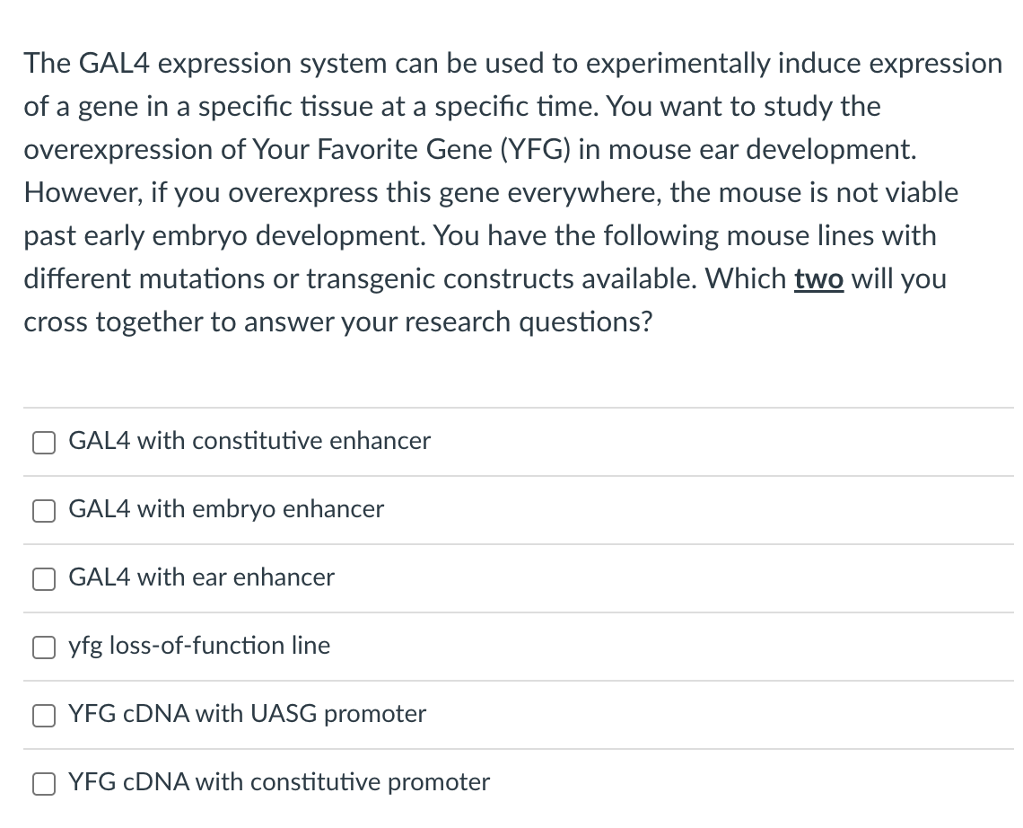 The GAL4 expression system can be used to experimentally induce expression
of a gene in a specific tissue at a specific time. You want to study the
overexpression of Your Favorite Gene (YFG) in mouse ear development.
However, if you overexpress this gene everywhere, the mouse is not viable
past early embryo development. You have the following mouse lines with
different mutations or transgenic constructs available. Which two will you
cross together to answer your research questions?
GAL4 with constitutive enhancer
GAL4 with embryo enhancer
GAL4 with ear enhancer
yfg loss-of-function line
YFG CDNA with UASG promoter
YFG CDNA with constitutive promoter
