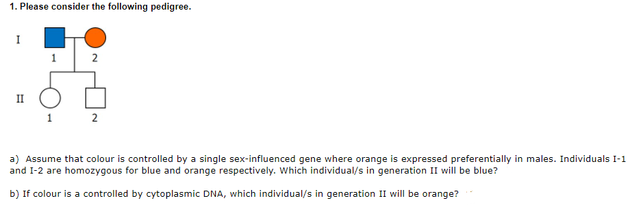 1. Please consider the following pedigree.
I
2
II
1
2
a) Assume that colour is controlled by a single sex-influenced gene where orange is expressed preferentially in males. Individuals I-1
and I-2 are homozygous for blue and orange respectively. Which individual/s in generation II will be blue?
b) If colour is a controlled by cytoplasmic DNA, which individual/s in generation II will be orange?
