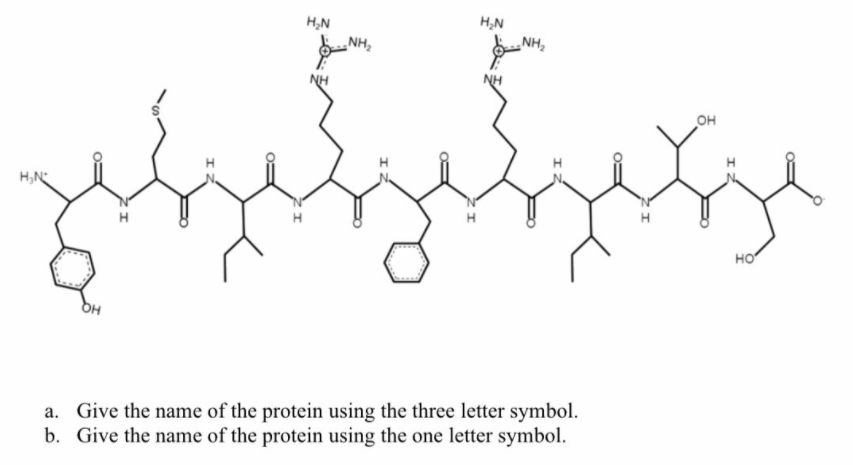 H,N
NH,
H,N
NH,
OH
H,N
H
H
но
DH
a. Give the name of the protein using the three letter symbol.
b. Give the name of the protein using the one letter symbol.
