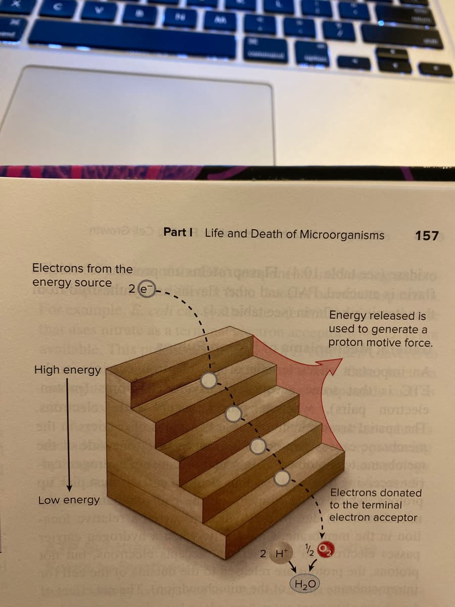 twoole Part I Life and Death of Microorganisms
157
Electrons from the
energy source
2 e-.
coli c
sidstood
Energy released is
used to generate a
a ter
ron
proton motive force.
High energy
(erieq noussis
Electrons donated
Low energy
to the terminal
electron acceptor
2 H*
H20
