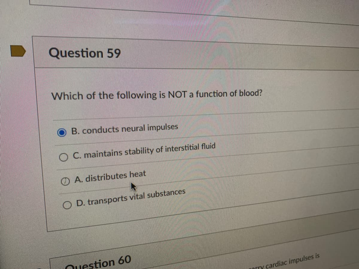 Question 59
Which of the following is NOT a function of blood?
B. conducts neural impulses
OC. maintains stability of interstitial fluid
A. distributes heat
OD. transports vital substances
estion 60
orry cardiac impulses is