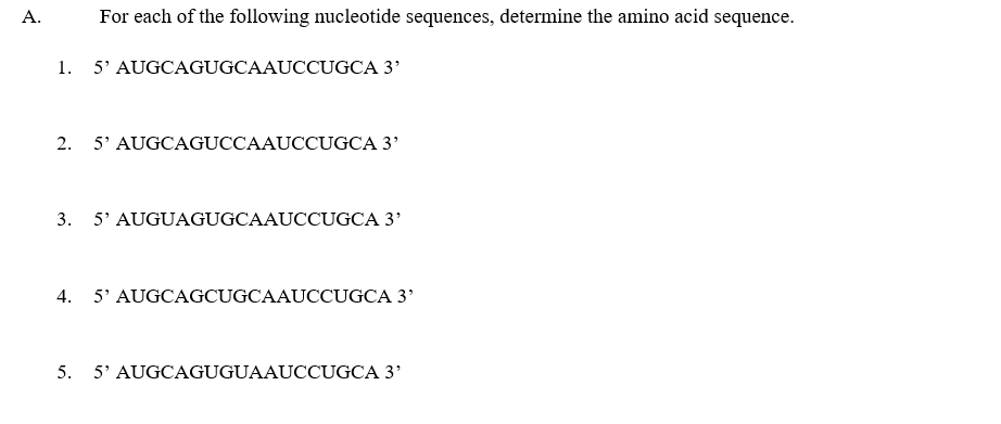 A.
For each of the following nucleotide sequences, determine the amino acid sequence.
1. 5' AUGCAGUGCAAUCCUGCA 3'
2. 5' AUGCAGUCCAAUCCUGCA 3'
3.
5' AUGUAGUGCAAUCCUGCA 3'
4. 5' AUGCAGCUGCAAUCCUGCA 3'
5.
5' AUGCAGUGUAAUCCUGCA 3'