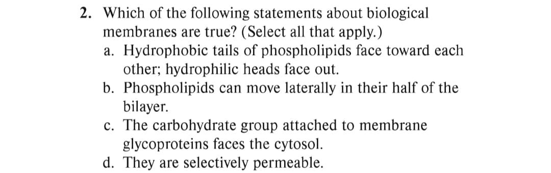 2. Which of the following statements about biological
membranes are true? (Select all that apply.)
a. Hydrophobic tails of phospholipids face toward each
other; hydrophilic heads face out.
b. Phospholipids can move laterally in their half of the
bilayer.
c. The carbohydrate group attached to membrane
glycoproteins faces the cytosol.
d. They are selectively permeable.
