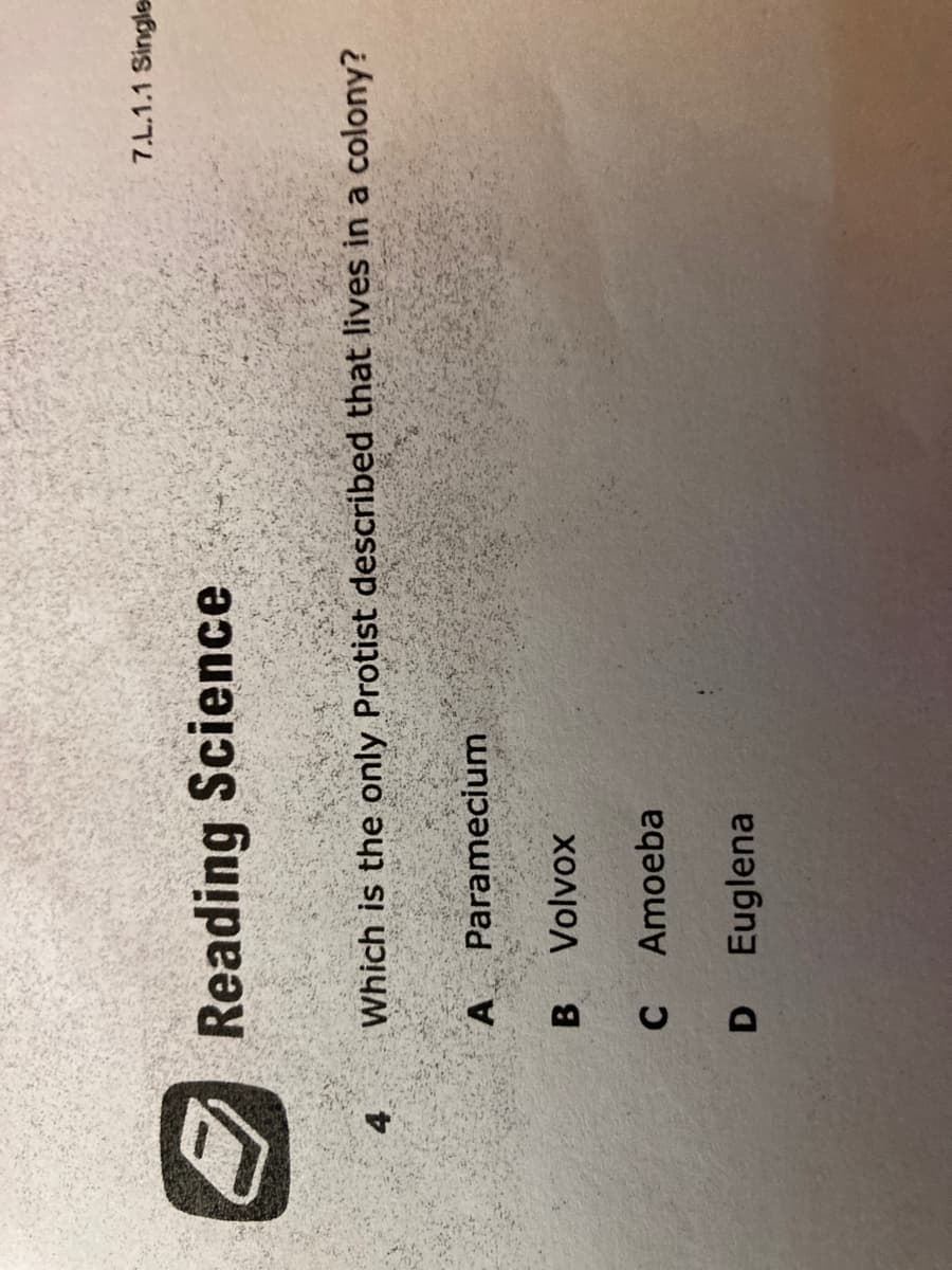 7.L.1.1 Single
Reading Science
Which is the only Protist described that lives in a colony?
4.
A Paramecium
B
C
Amoeba
D Euglena
