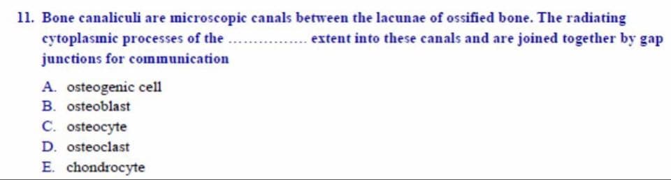 Bone canaliculi are microscopic canals between the lacunae of ossified bone. The radiating
cytoplasımic processes of the
junctions for communication
extent into these canals and are joined together by gap
A. osteogenic cell
B. osteoblast
C. osteocyte
D. osteoclast
E. chondrocyte
