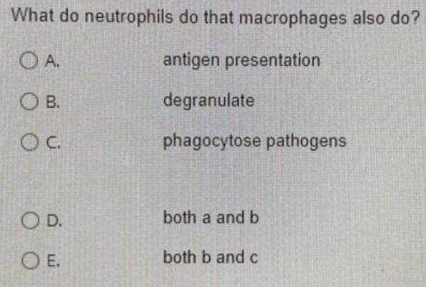 What do neutrophils do that macrophages also do?
O A.
antigen presentation
Ов.
degranulate
OC.
phagocytose pathogens
O D.
both a and b
OE.
both b and c
