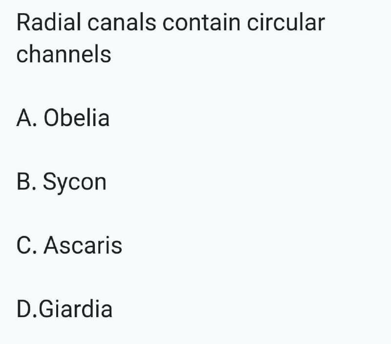 Radial canals contain circular
channels
A. Obelia
B. Sycon
C. Ascaris
D.Giardia
