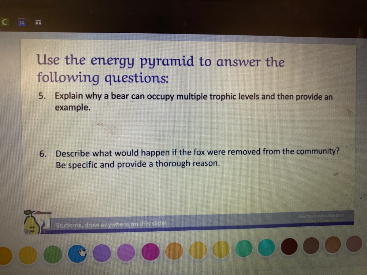 C 14
Use the energy pyramid to answer the
following questions:
5. Explain why a bear can occupy multiple trophic levels and then provide an
example.
6. Describe what would happen if the fox were removed from the community?
Be specific and provide a thorough reason.
Students, draw anywhere on this slide!
D0000
