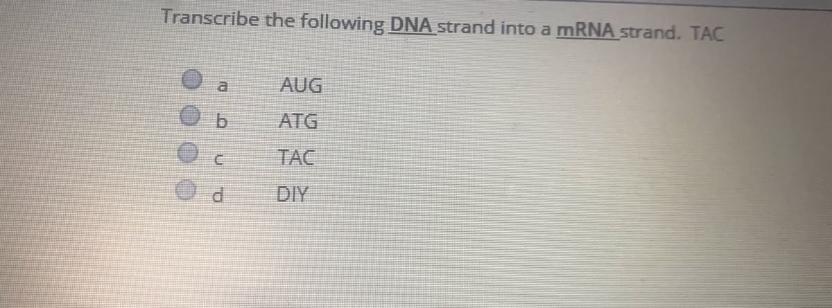 Transcribe the following DNA strand into a MRNA strand. TAC
AUG
ATG
TAC
DIY
O O O O
